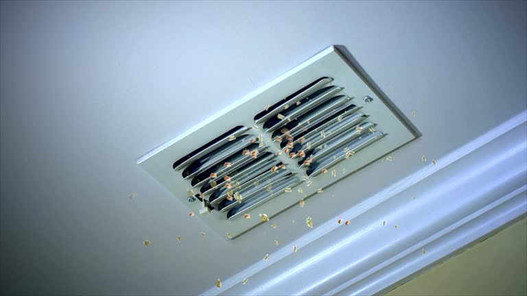 Best Ductwork Cleaning Services  in St Maries, ID