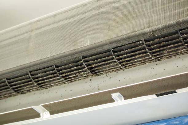 Best Air Vent Cleaning Services  in St Maries, ID